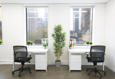 Bright two-person office suite with desks, indoor plants, and city window views.