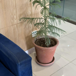 Serviced offices to rent in 