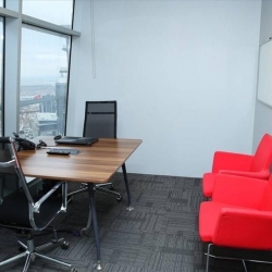 Executive suite to lease in Ankara