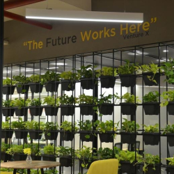 Office accommodations to let in Gurugram (Gurgaon)