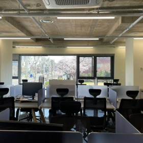 Executive office centres to lease in Seoul. Click for details.