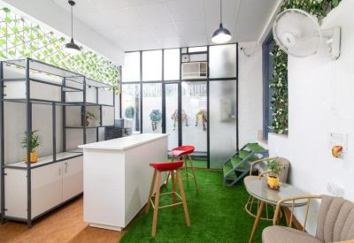 Communal breakout area with a white bar counter and artificial grass flooring.