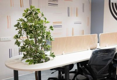 Bright workspace featuring a light wood desk with a built-in potted plant and patterned feature wall.
