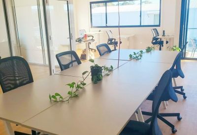 Long communal workspace desk with office chairs and climbing ivy plants.