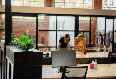 Bright open-plan coworking space with large windows and indoor plants.