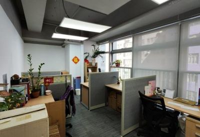 Bright office cubicles with indoor plants, wooden desks, and large windows with blinds.