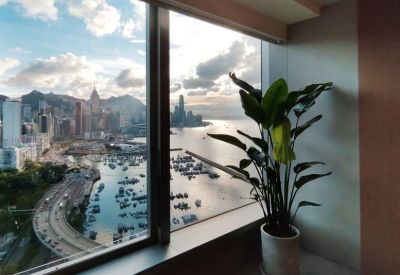 Window-side workspace with a large plant and a stunning panoramic view of the harbor.