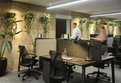 Modern workspace featuring ergonomic chairs, wooden desks, and lush hanging plants.