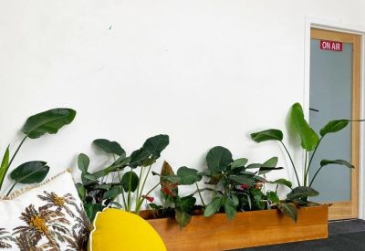 Lounge area featuring a planter box with lush green plants and a yellow lemon-shaped cushion.