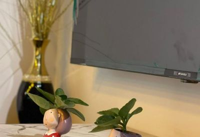 Close-up of decorative character-shaped planters on a marble-style table.