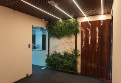 Entrance hallway with a partial green feature wall, wooden ceiling, and linear lighting.