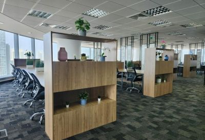 Wooden shelving units with potted plants separating desk areas.