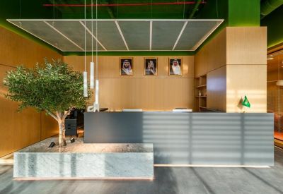 Bright reception desk featuring warm wood paneling, an olive tree, and green ceiling accents.