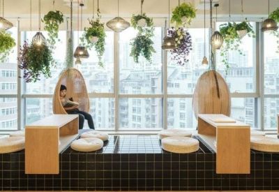Light-filled workspace with hanging plants, egg-shaped swing chairs, and floor-to-ceiling windows.