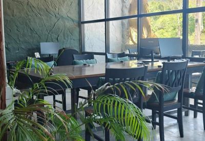 Meeting area with a large wooden table, green plants, and views of the surrounding greenery.