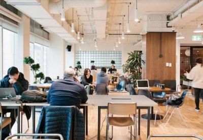 Sunlit coworking space with people working at long communal tables.