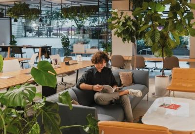 Sunny lounge area with lush green plants and a person reading on a grey sofa.