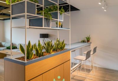 Modern wooden counter with snake plants and tiered white shelving units holding greenery.