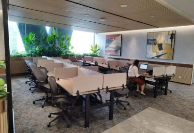Open-plan office space with divided workstations and a large window overlooking lush greenery.