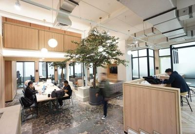 Open-plan workspace with a large communal table, indoor tree, and various seating areas.