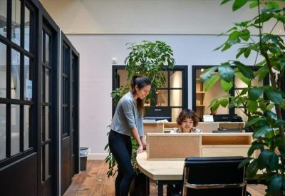 Reception area with a light wood desk, indoor plants, and staff assisting members.