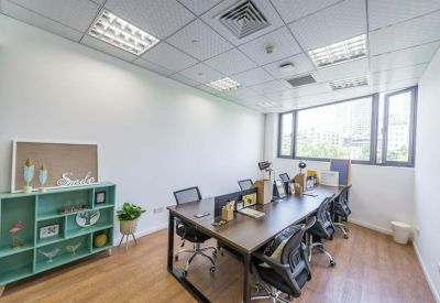 Sunlit office suite with several workstations and a teal decorative shelving unit.