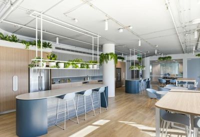 Spacious communal kitchen and dining area with a long breakfast bar, hanging plants, and light wood flooring.