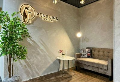 Modern lounge area with a grey sofa, marble table, and large green plant.