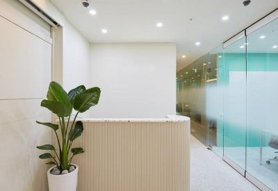 Reception area with a plant by the desk and glass walls.