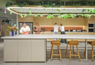 Spacious communal kitchen area with large island bench and hanging plants.