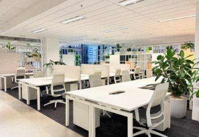 Open-plan office space with white desks, ergonomic chairs, and indoor plants.