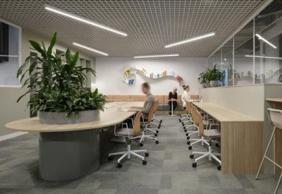 Bright coworking space with a curved wooden desk, indoor plants, and ergonomic chairs.