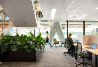 Office workspace with multiple desks and indoor plants.
