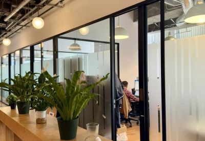 Wooden bookshelf partition with potted plants in a bright office corridor.