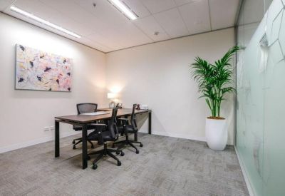 Private office suite with a dark wood desk and a large indoor plant.