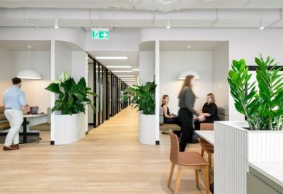 Lounge area with semi-private booths and indoor plants.