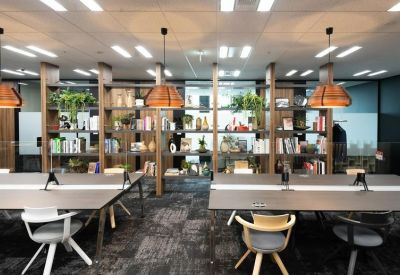 Shared coworking space with wooden shelving and decorative plants.