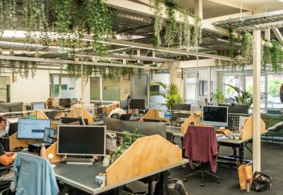 Open-plan coworking space with rows of desks, computer monitors, and hanging green vines.