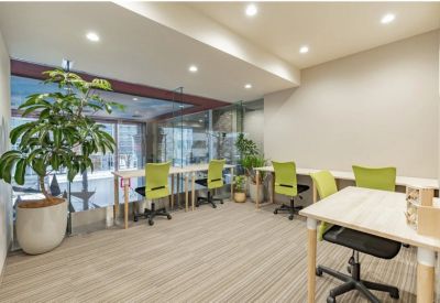 Bright office space with green chairs, light wood desks, and a large indoor plant by a glass partition.