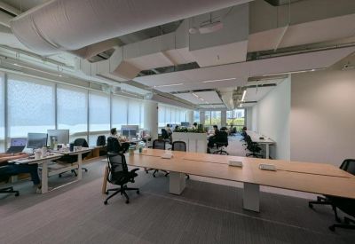 Bright open-plan office featuring long wooden desks and ergonomic mesh chairs near large windows.