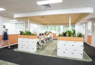 Bright coworking zone with rows of white desks separated by planters and wooden partitions.