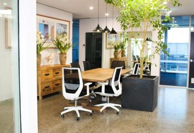 Collaborative workspace with a large wooden table, potted tree, and sideboard.