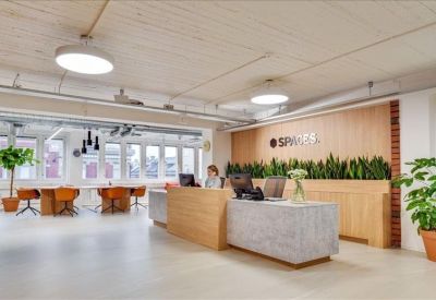 Bright timber-cladded reception desk featuring integrated indoor plants and warm overhead lighting.