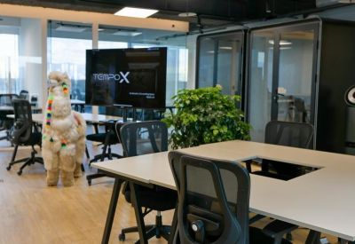 Open-plan office space featuring a large stuffed llama and modern workstations.