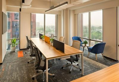Communal breakout area with a wooden desk, potted plants, and blue velvet armchairs by a window.