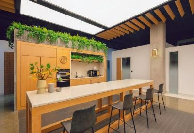 Modern communal kitchen and breakout area featuring light wood cabinetry, bar seating, and indoor plants.