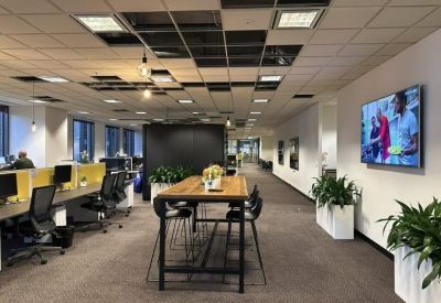 Open-plan office space with height-adjustable desks, ergonomic chairs, and indoor plants.