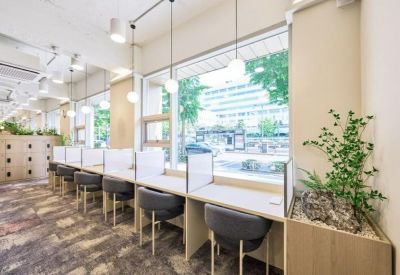 Quiet study area with individual desks, privacy dividers, and indoor plants by a window.