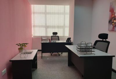 Two-person private office with pink feature wall and large window.