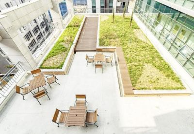 High-angle view of a sunny rooftop terrace with green lawn areas and wooden outdoor furniture.